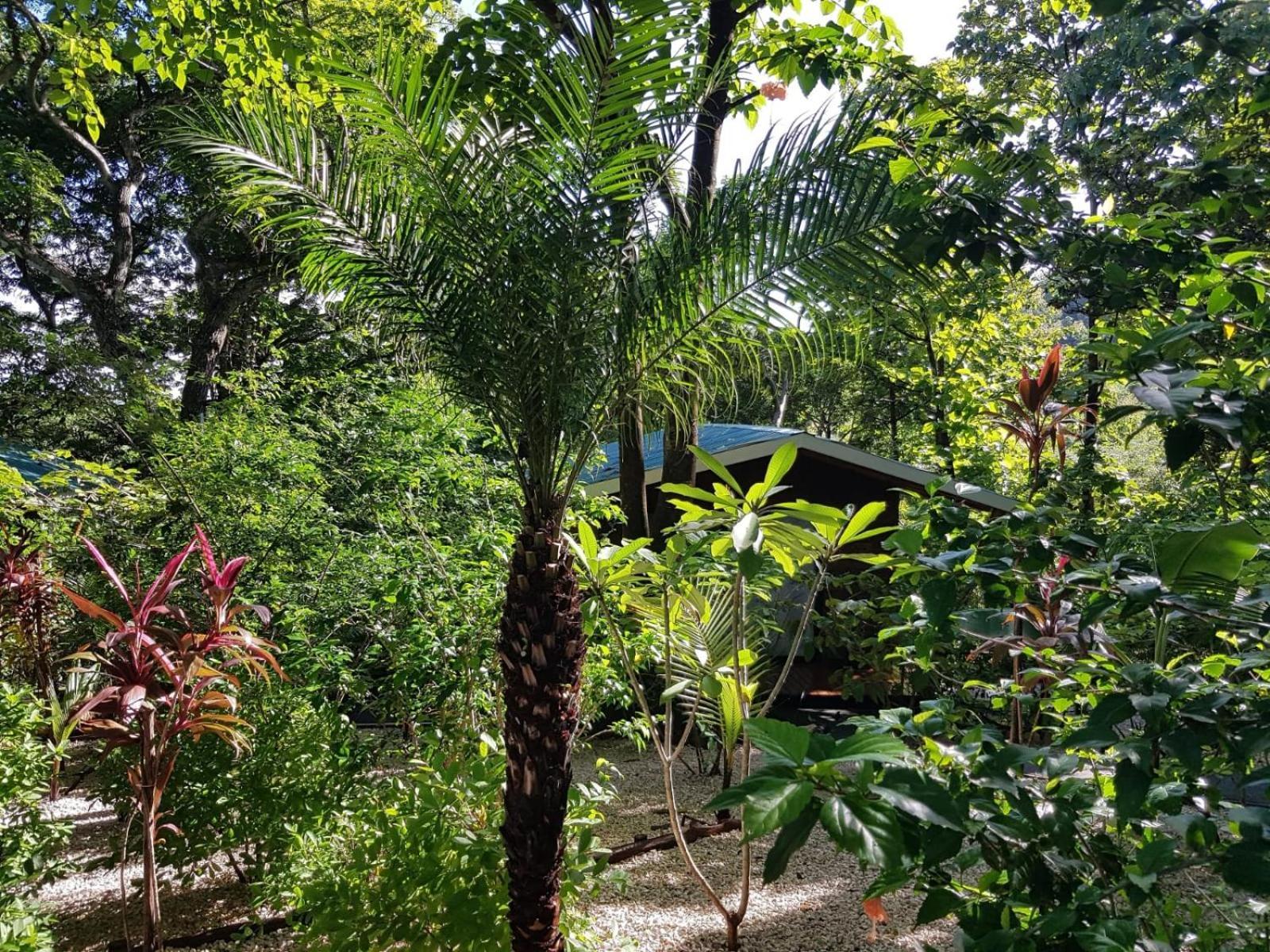 Baliyana Lodge San José Pinilla 외부 사진